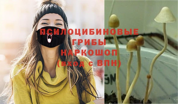 PSILOCYBIN Бугульма